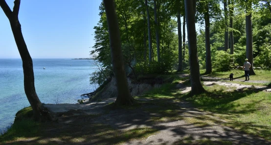 Die Natur in Kerteminde