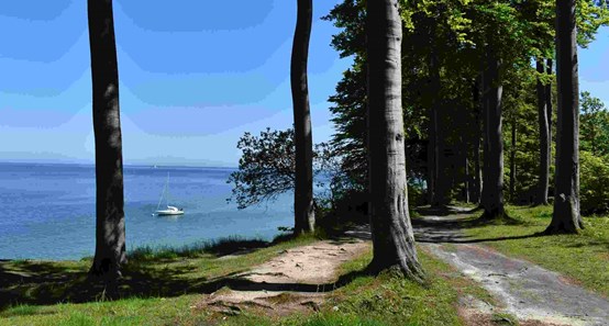 Die Natur in Kerteminde