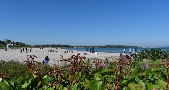 Nordstranden in Kerteminde